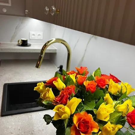 Apartament Paris In Cracow