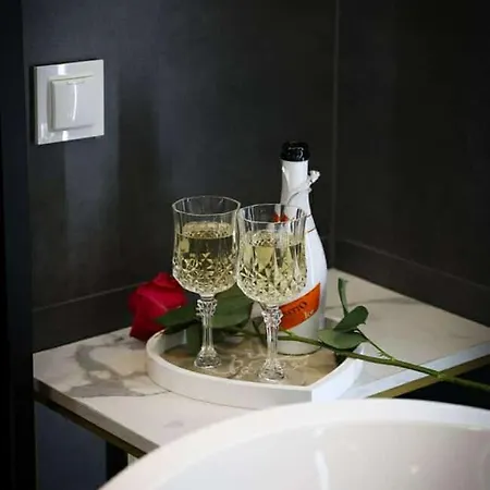 Apartment Paris In Cracow Krakow